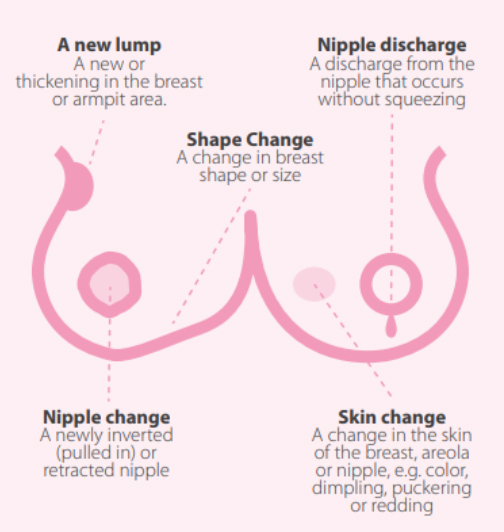 Breast self exam infographic